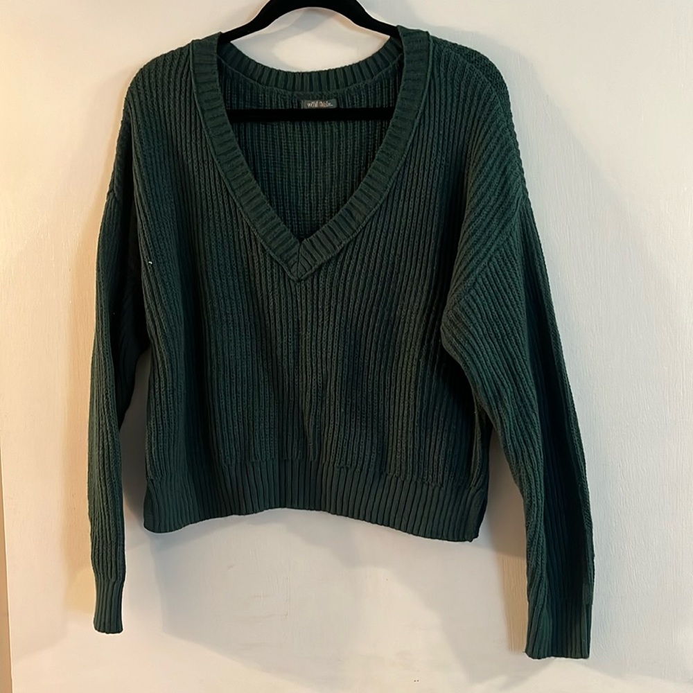 Wild Fable sweater